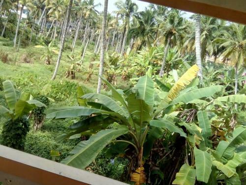 Hotel Patrick Villa