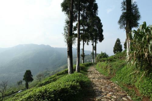 Hotel Sourenee Tea Estate