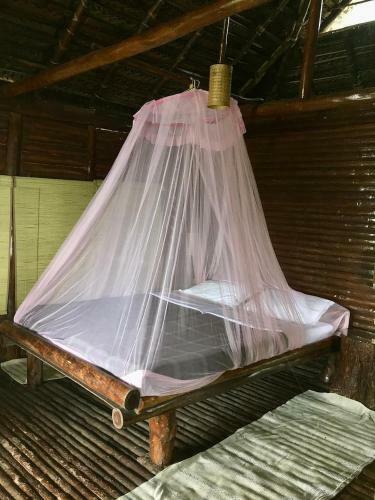 Aranyakam Homestay