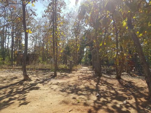 Hotel Tadoba Tiger Resort