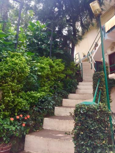 Hostal Cicily Cottage
