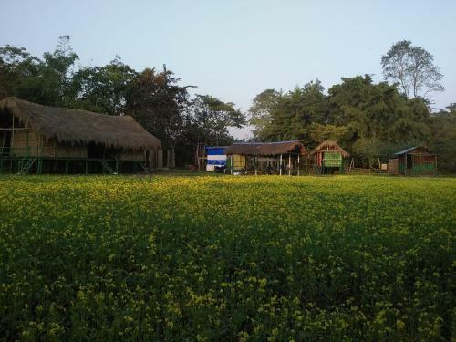 La Lolat Eco Camp