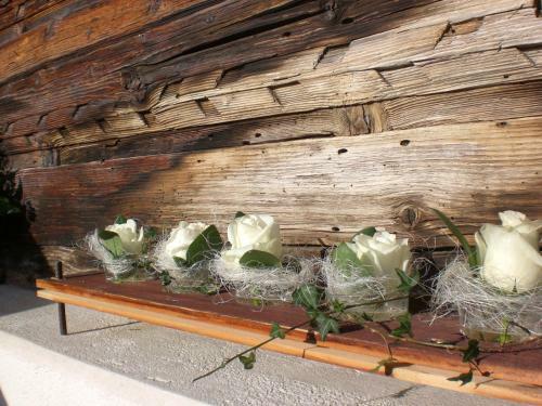 Bed & Breakfast Pension Staldacher