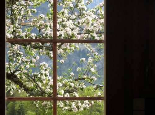 Bed & Breakfast Pension Staldacher