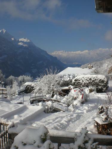 Bed & Breakfast Pension Staldacher