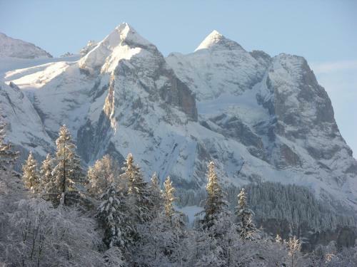Bed & Breakfast Pension Staldacher