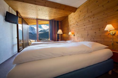 Hotel Viktoria