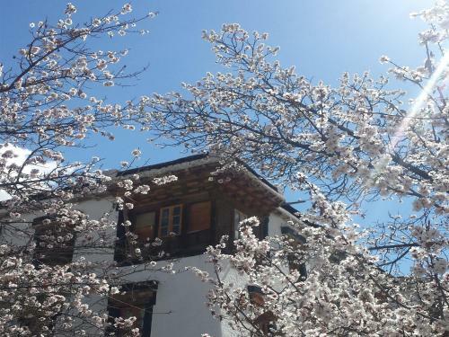 Hotel Nimmu House Ladakh