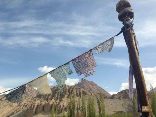 Hotel Nimmu House Ladakh