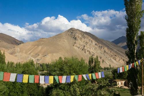 Hotel Nimmu House Ladakh