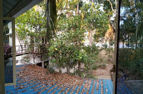 Blue Birds Homestay