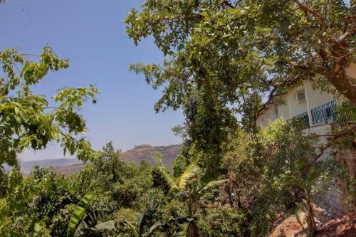 Hotel Rainforest Restaurant & Villas
