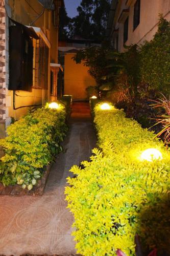 Hostal Estonia Luxor