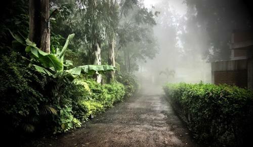 Bed & Breakfast Panchgani Cottages