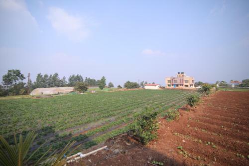 Eko Stay- Mount Castle Villa