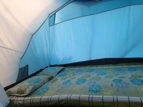 Dandeli - Jungle Nest