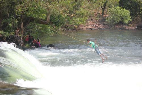 Dandeli - Jungle Nest