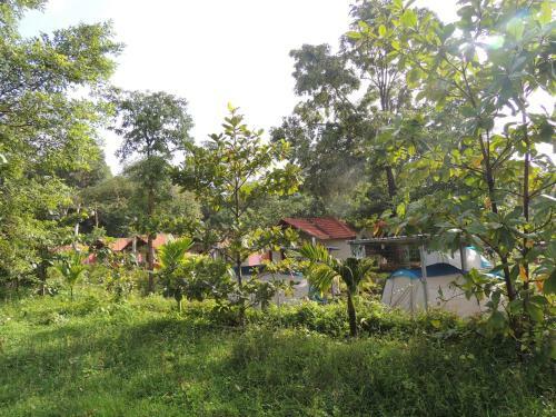 Dandeli - Jungle Nest