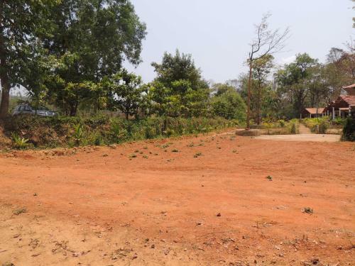 Dandeli - Jungle Nest