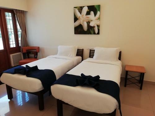 Hotel La Grace Integral Retreat