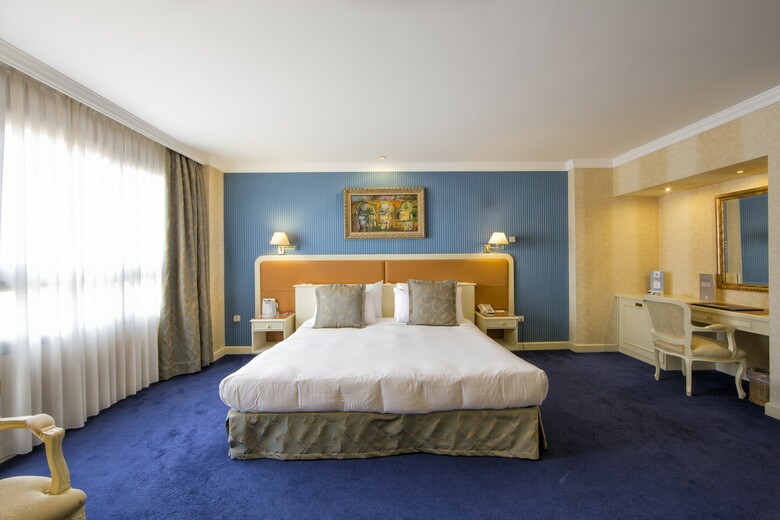 Hotel Eurostars Araguaney