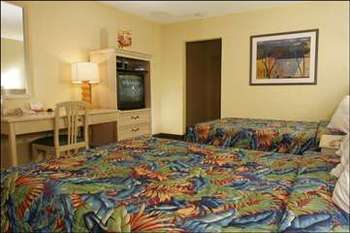 Hotel International Palms Resort And Conference Center