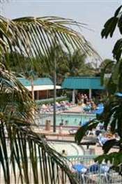 Hotel International Palms Resort And Conference Center