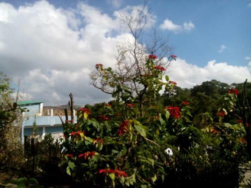 Troya Home Stay
