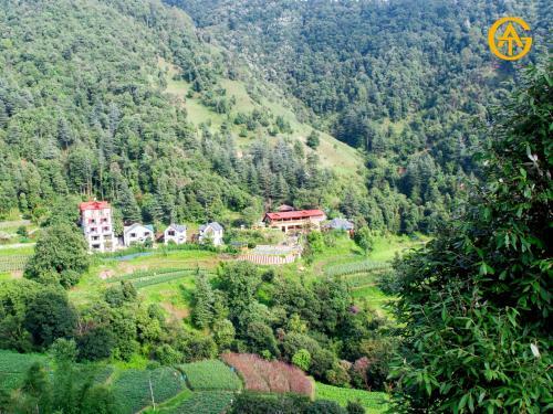 Hotel Tag Resorts Oakwood Hamlet Shoghi