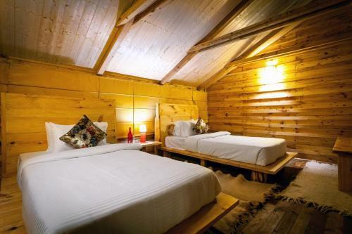 Hotel Suro Treehouse Resort