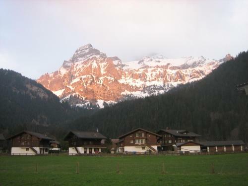 Apartamentos Ferienwohnung Lenk
