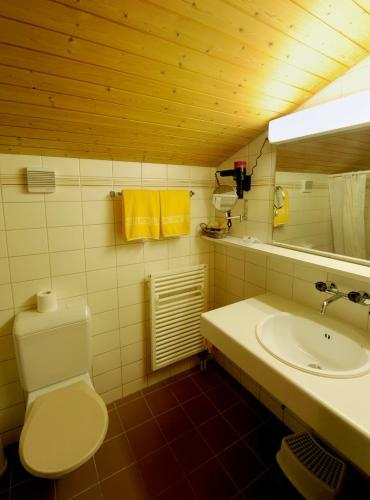 Hotel Krone Lenk