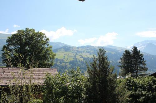 Apartamento Chalet Saloma