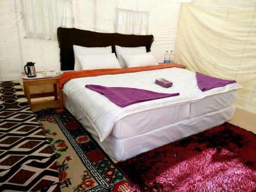 Tih The Regal Camp Pangong