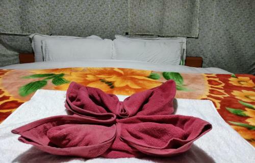 Bed & Breakfast Tih P3 Camp Pangong