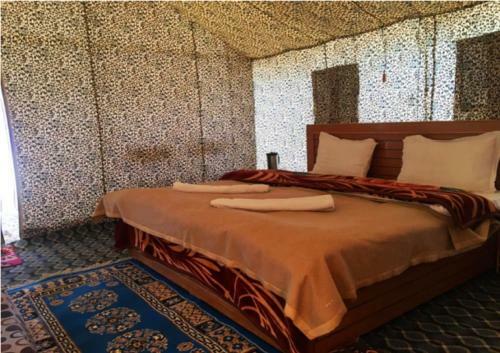 Ladakh Summer Pangong Camp