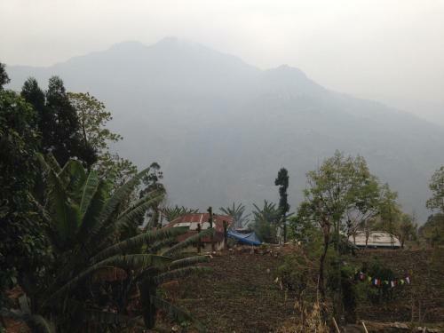 Sanu Homestay