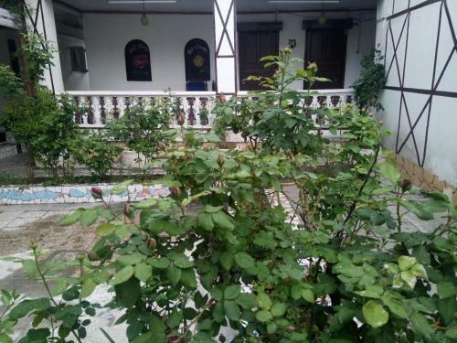 Bed & Breakfast Shalimar