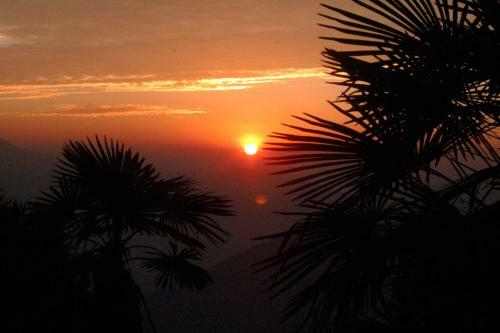 Solacetone Homestay