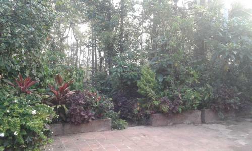 Dreams Homestay