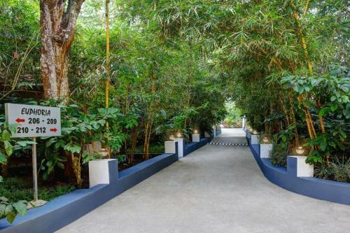 Hotel Paddington Resorts And Spa