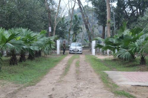 Hotel Chai Seeds Resort