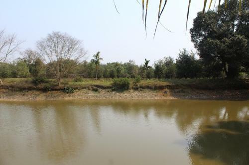 Hotel Chai Seeds Resort