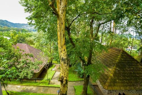 Agroturismo Hotel Treetop