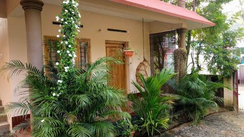 Summer Cottage