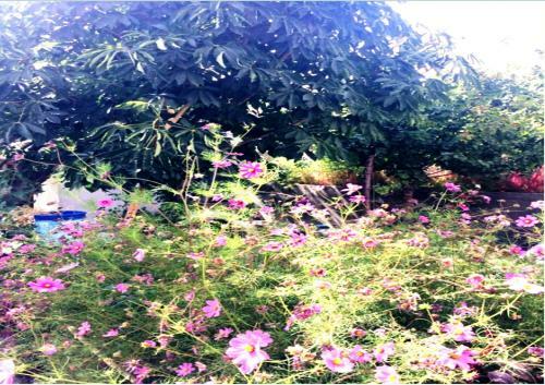 Hostal Tih A O Guest House & Home Stay