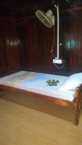 Thriphala Ayurveda Yoga Ashram