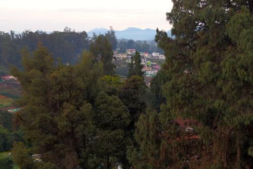 Ooty Boulevard