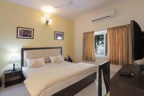 Bed & Breakfast Mimosa Udaipur
