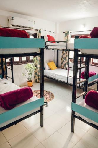 The Hostel Crawl